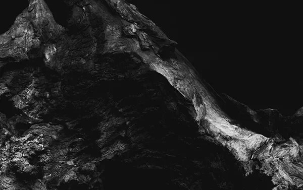 mysterious-grey-gallery-2