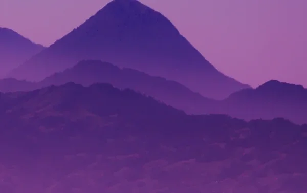 purple-sky-gallery-2