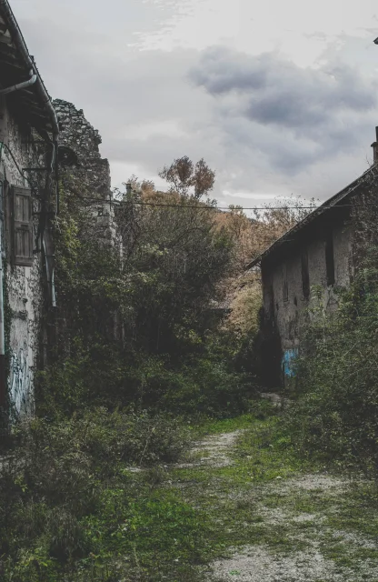 urban-forest-gallery-5