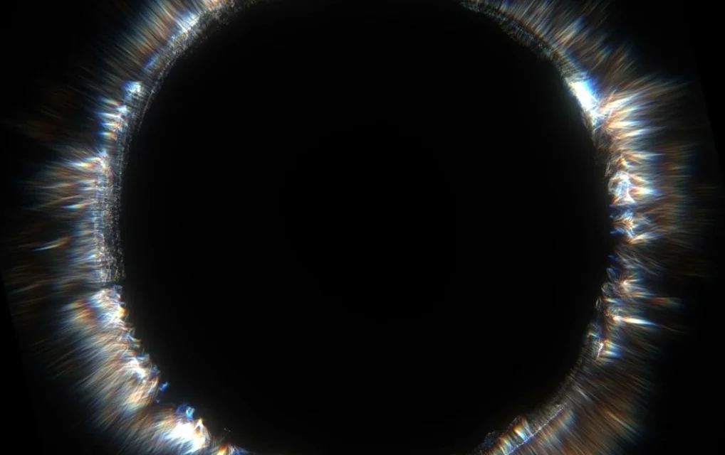 d5bf32e1-6d82-44d5-9248-21d014e8471c