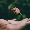 Relatório de sustentabilidade 2025