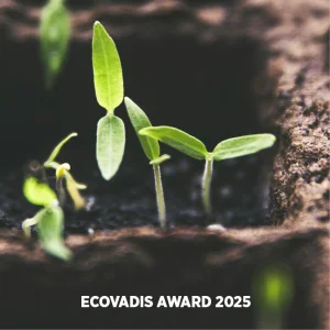 Premio Ecovadis 2025