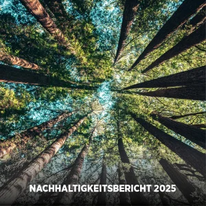 Informe de sostenibilidad 2025