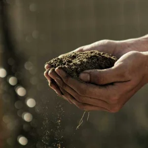 Ecovadis Award 2026