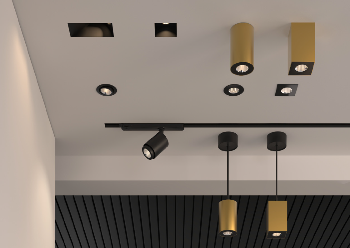 Project spotlight