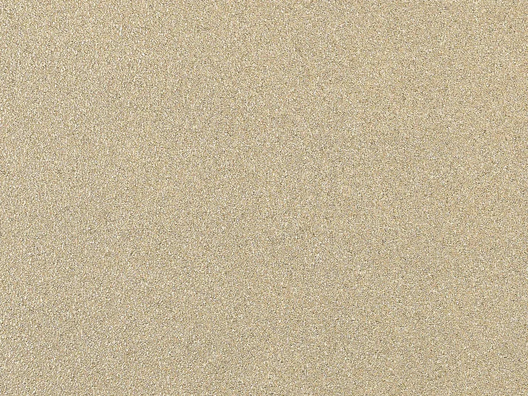 26 CHAMPAGNE CREAM