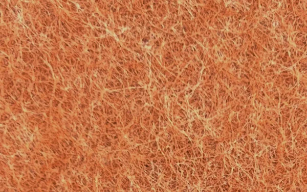 OIDO_055_AMBER_EARTH_BaseColor