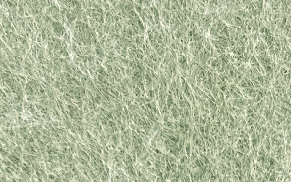 OIDO_082_SOFT_OLIVE_CATALOGUE_BaseColor