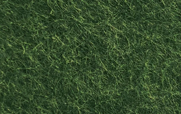 OIDO_091_DEEP_EVERGREEN_CATALOGUE_BaseColor