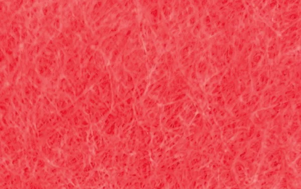 OIDO_098_CORAL_REEF_BaseColor