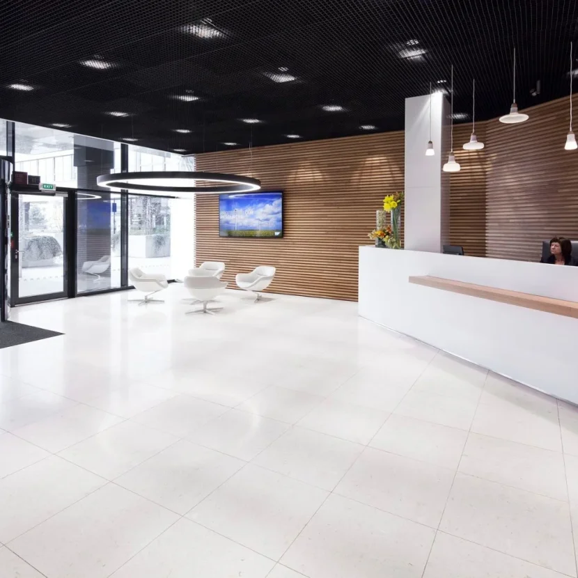 prolicht_sap_1095_1