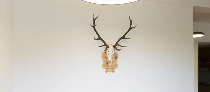 prolicht_super_sign_tischlerei_decker_tirol_2015