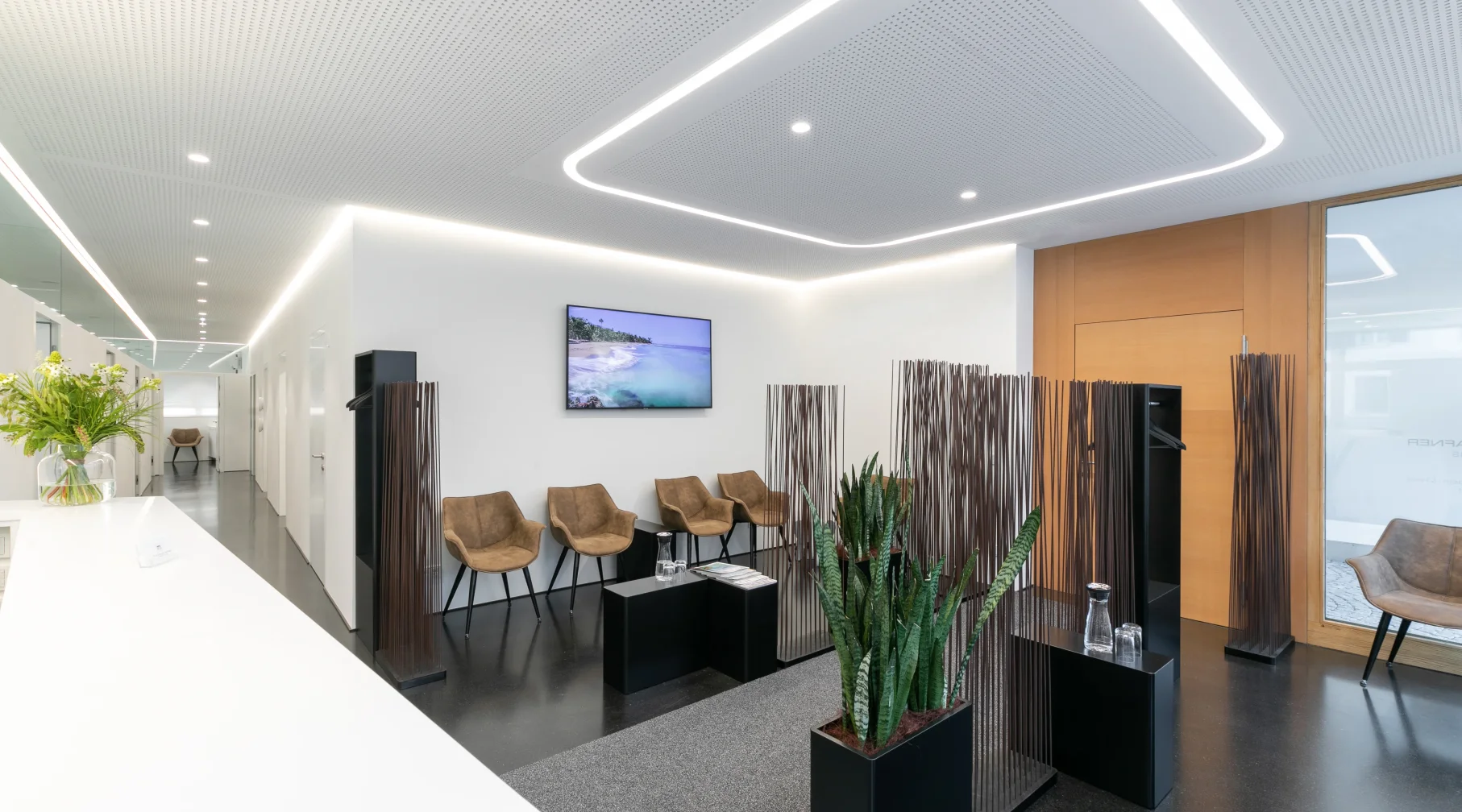 Dentista Dr. Hafner
