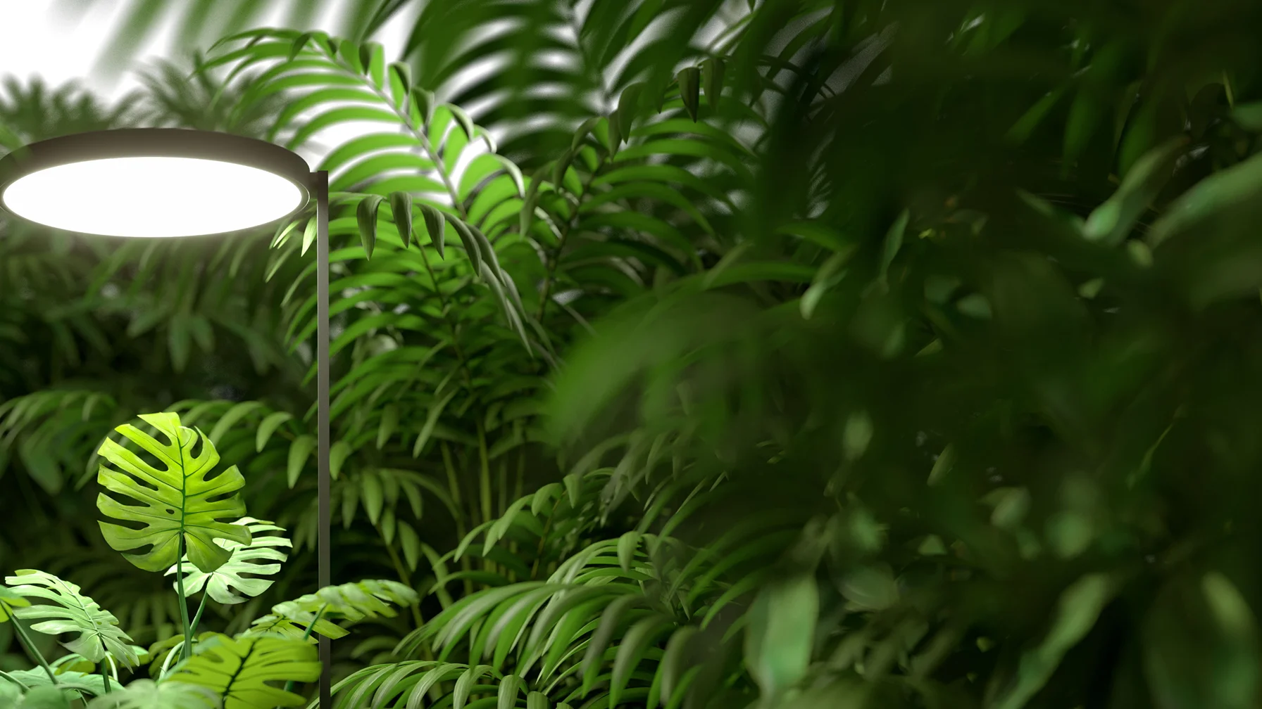 Green Future
